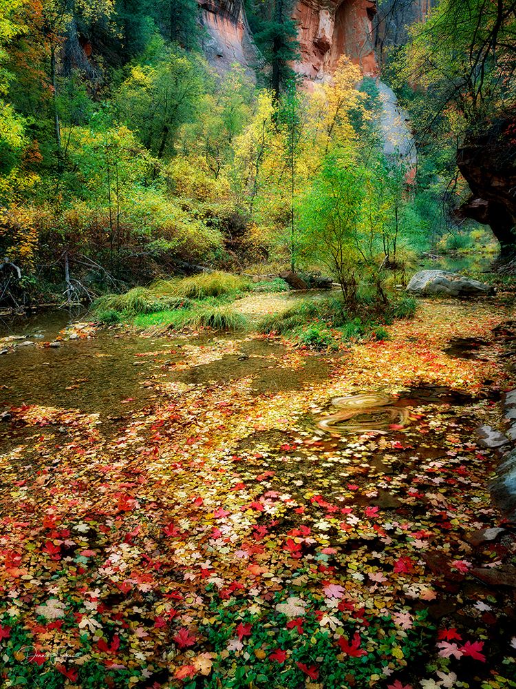 Fall Color and Creek art print by Dennis Frates for $57.95 CAD