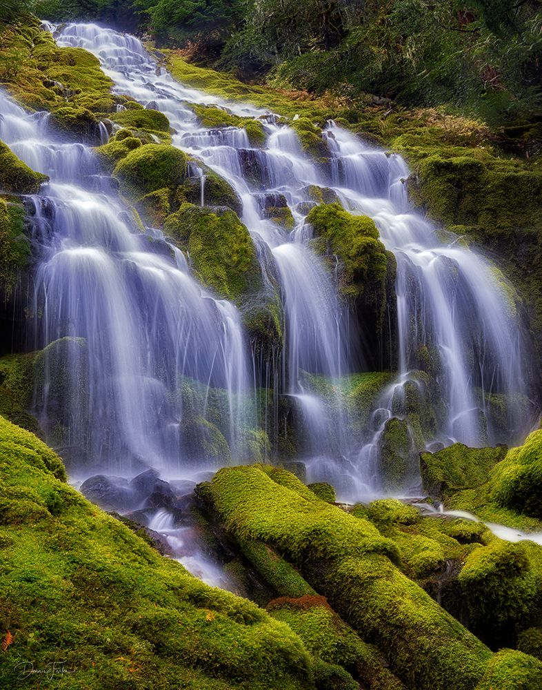 Upper Proxy Falls art print by Dennis Frates for $57.95 CAD