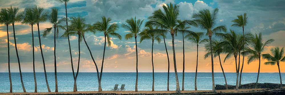 Coastline with Palm Trees art print by Dennis Frates for $57.95 CAD