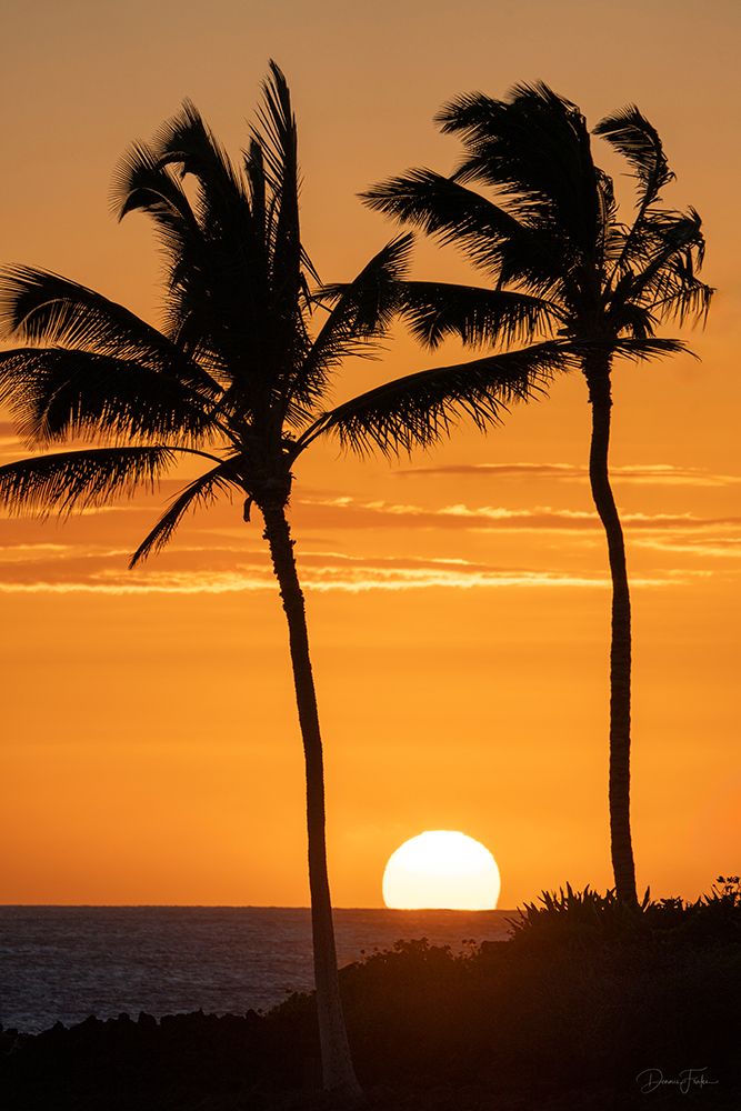 Sunset Through Palm Trees art print by Dennis Frates for $57.95 CAD