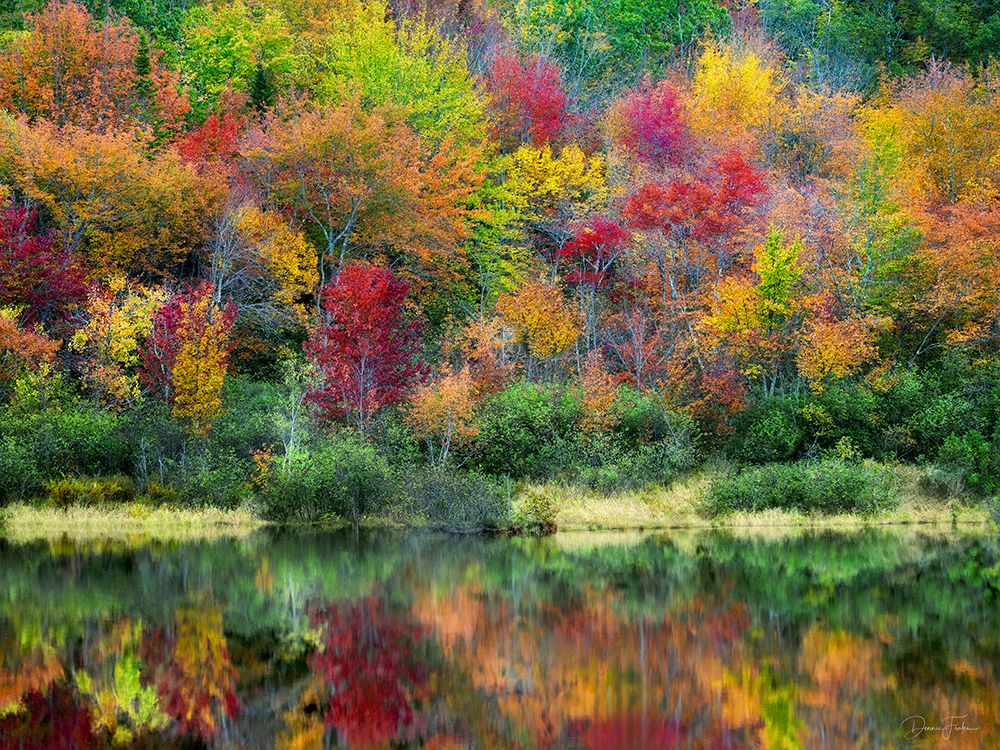 Autumn Color and Pond art print by Dennis Frates for $57.95 CAD
