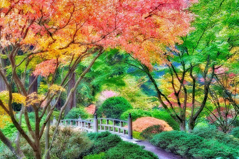 Japanese Gardens with Bridge art print by Dennis Frates for $57.95 CAD