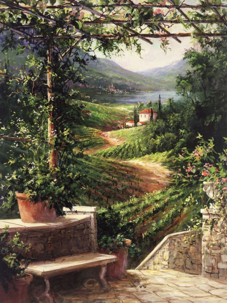 Chianti Vineyard art print by Art Fronckowiak for $57.95 CAD