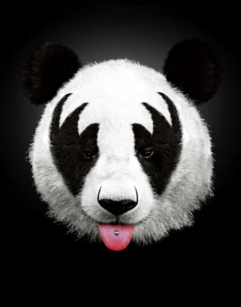 Panda Rocks art print by Robert Farkas for $57.95 CAD