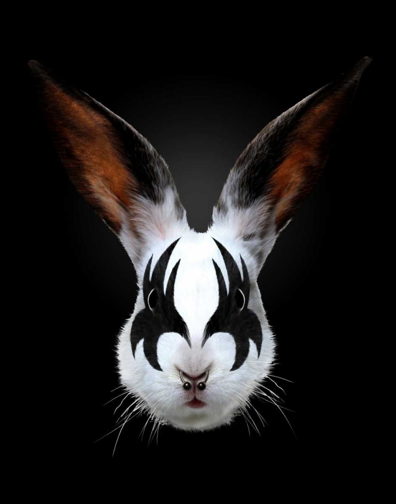 Rabbit Rocks art print by Robert Farkas for $57.95 CAD