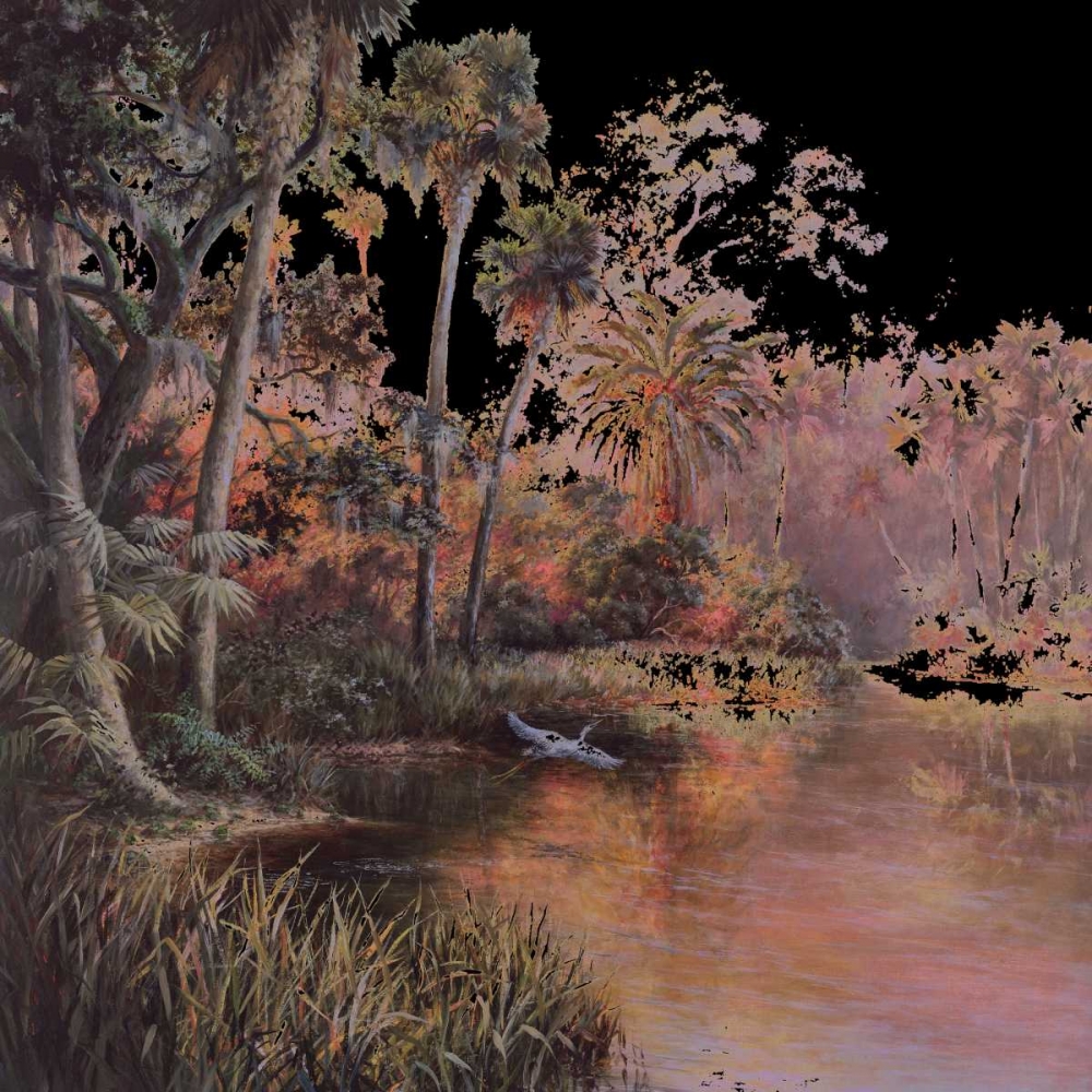 Myakka Sunset art print by Art Fronckowiak for $57.95 CAD