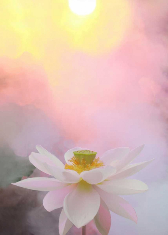 Beauty at Dawn art print by Bahman Farzad for $57.95 CAD