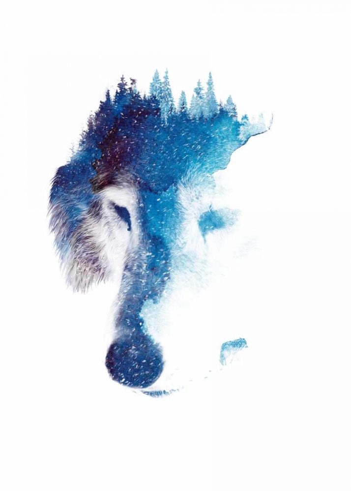 Through Many Storms art print by Robert Farkas for $57.95 CAD
