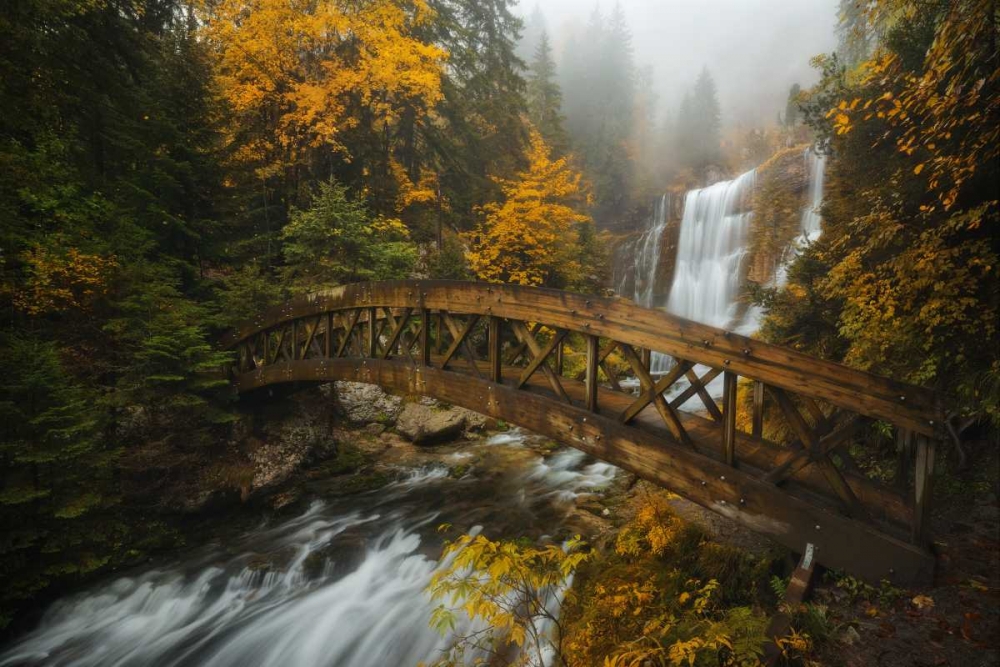 A Bridge in the Forest art print by Enrico Fossati for $57.95 CAD
