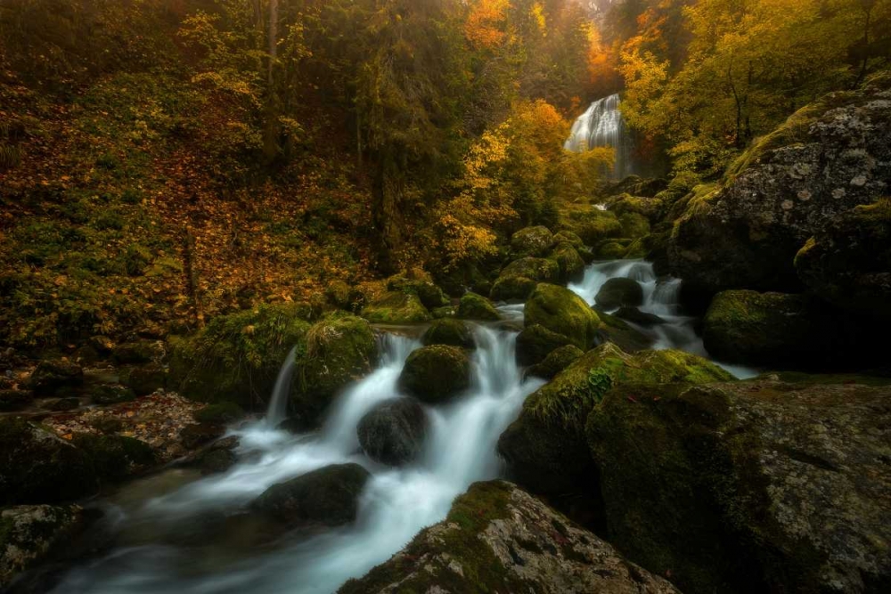 Resplendent Stream art print by Enrico Fossati for $57.95 CAD