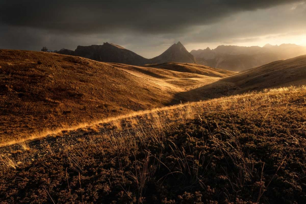 Last Autumn Light art print by Enrico Fossati for $57.95 CAD