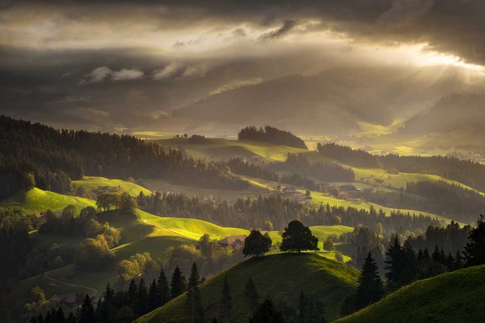 The Shire art print by Enrico Fossati for $57.95 CAD