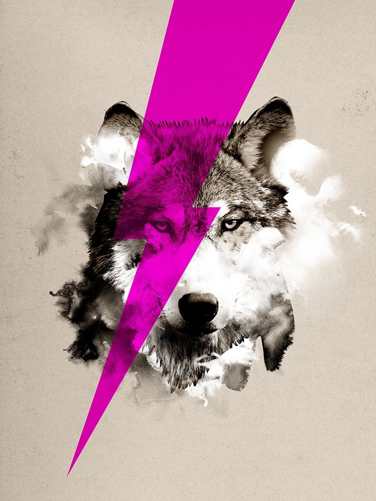 Wolf Rocks art print by Robert Farkas for $57.95 CAD
