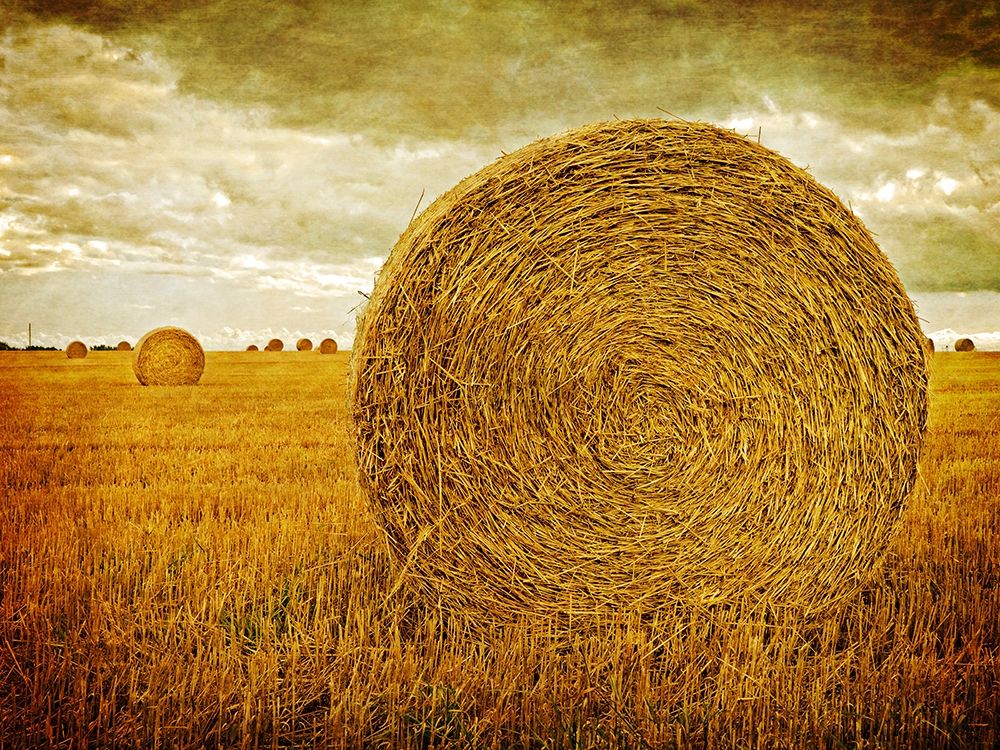 Prince Edward Island Art prints and posters