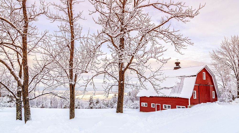 Winter Arrives art print by Edward M. Fielding for $57.95 CAD