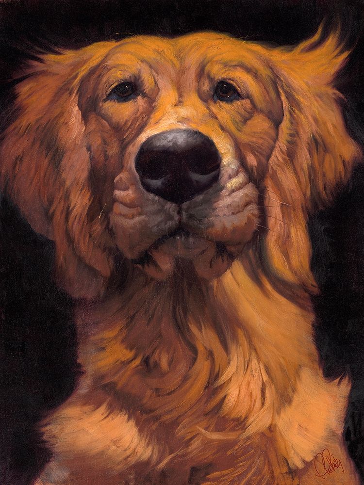 Golden art print by Thomas Fluharty for $57.95 CAD