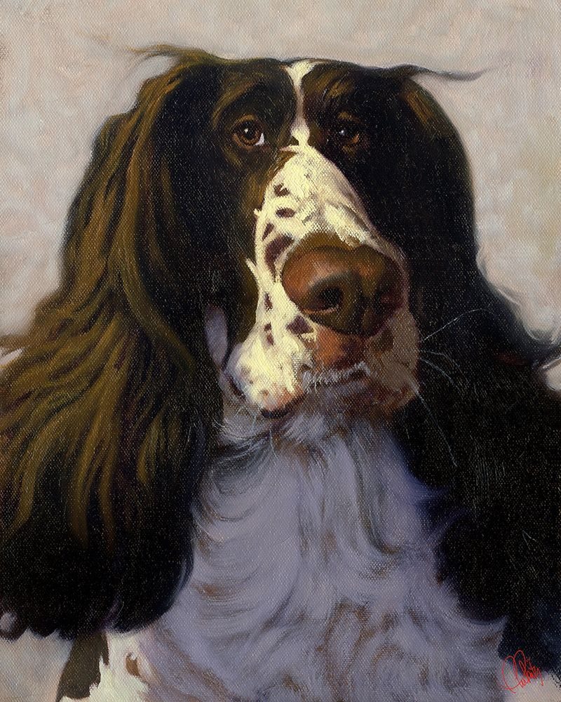 Springer art print by Thomas Fluharty for $57.95 CAD