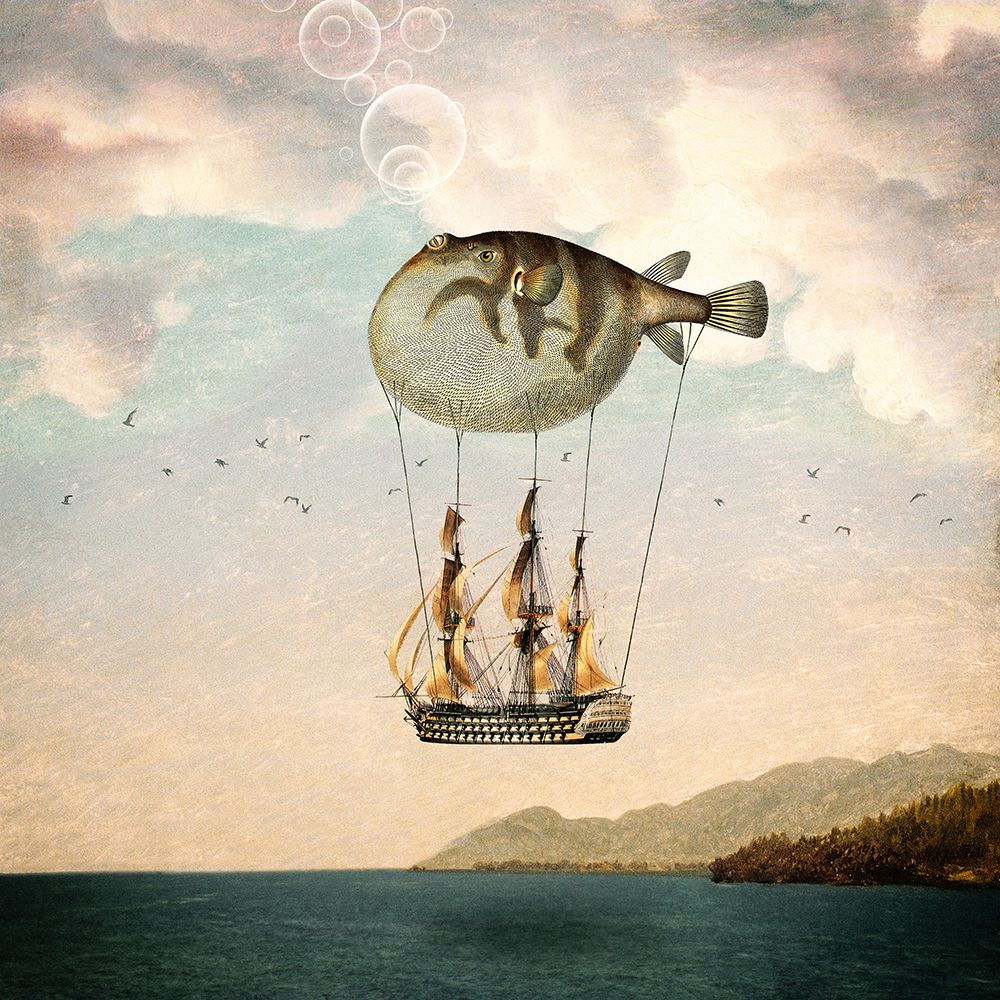 The Big Journey art print by Paula Belle Flores for $57.95 CAD