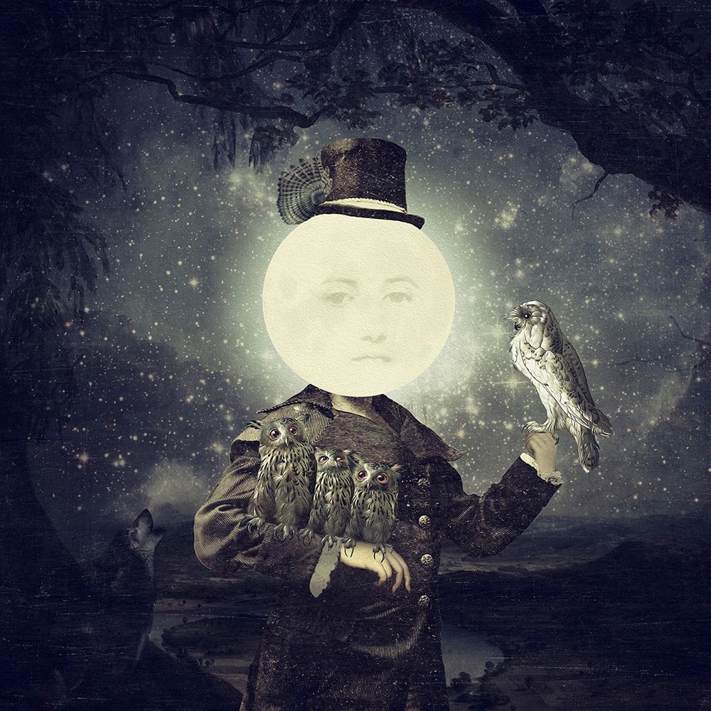 Full Moon art print by Paula Belle Flores for $57.95 CAD