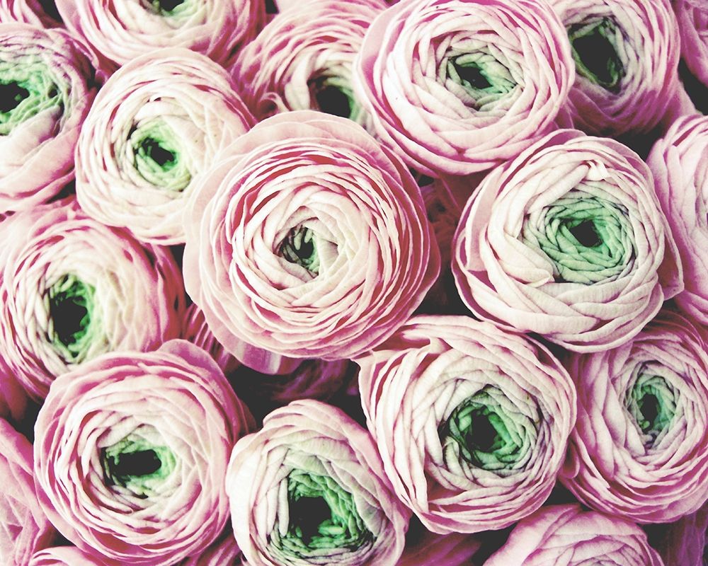 Bundle of Sweetness art print by Lupen Grainne for $57.95 CAD