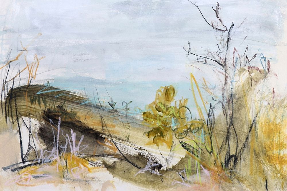 Over The Dune, Clarkes Beach art print by Ann Gordon for $57.95 CAD
