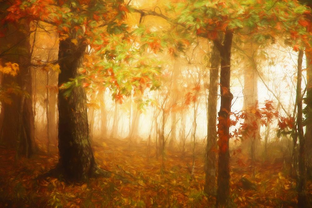 Autumns Rainbow art print by Carrie Ann Grippo-Pike for $57.95 CAD