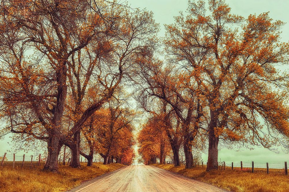 November Adventures art print by Carrie Ann Grippo-Pike for $57.95 CAD