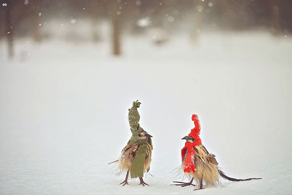 Weathered Feathered Friends art print by Carrie Ann Grippo-Pike for $57.95 CAD
