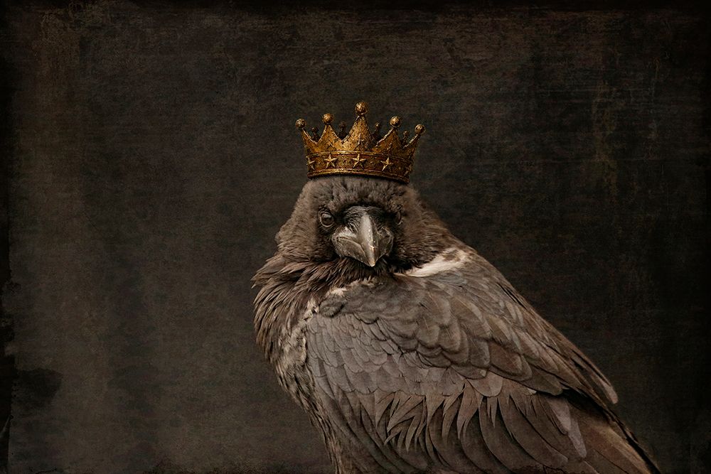 Corvid King Raven art print by Carrie Ann Grippo-Pike for $57.95 CAD