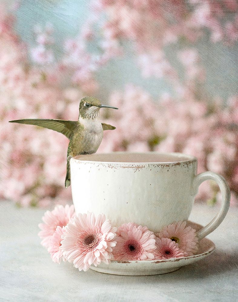 Hummingbird Coffee Cutie art print by Carrie Ann Grippo-Pike for $57.95 CAD