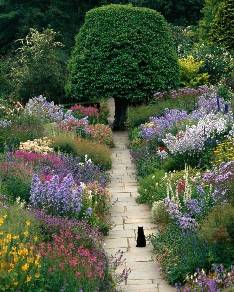 The Garden Cat art print by Greg Gawlowski for $57.95 CAD