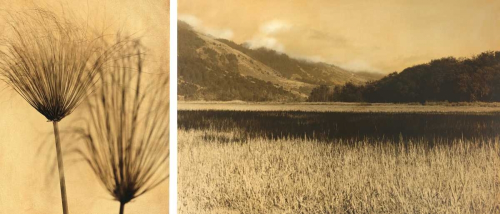 Bolinas Lagoon #7 art print by Jan Gauthier for $57.95 CAD