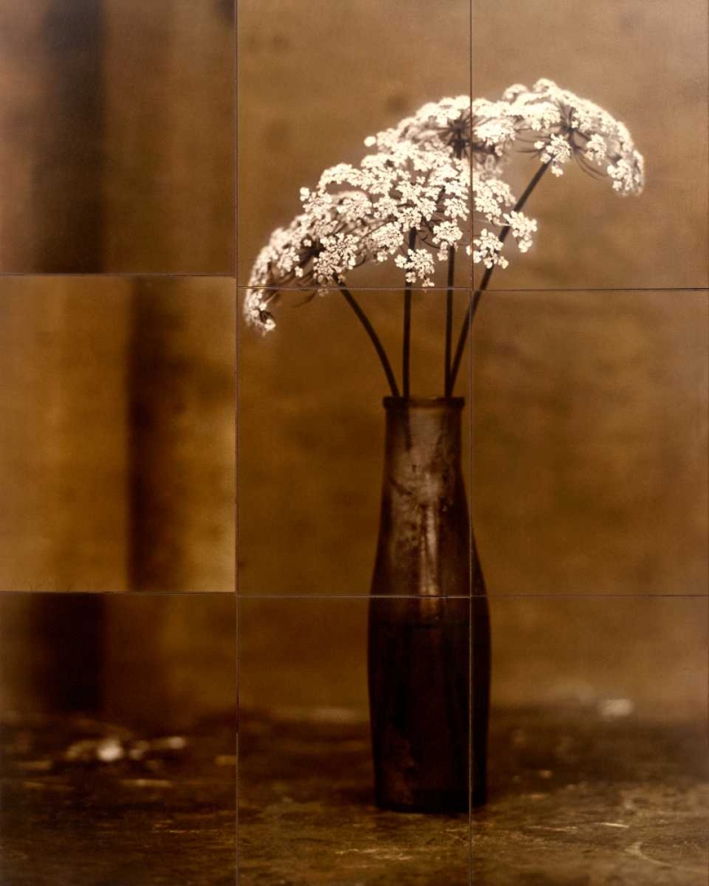 Night Flower art print by Jan Gauthier for $57.95 CAD