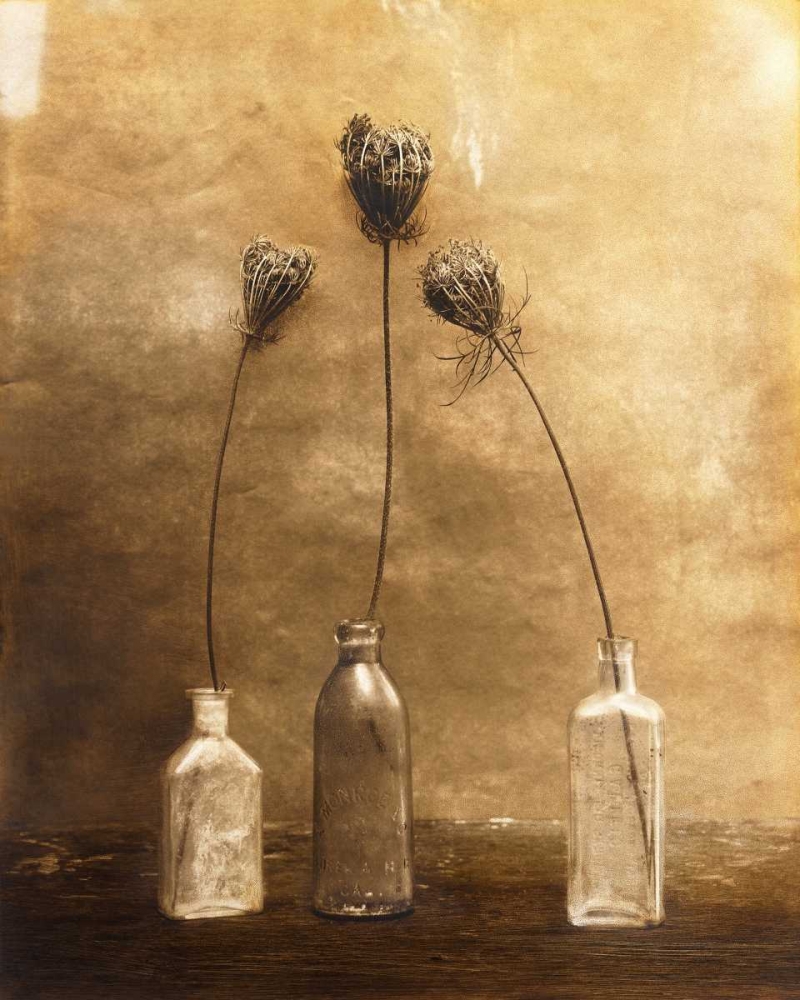 Three Views art print by Jan Gauthier for $57.95 CAD