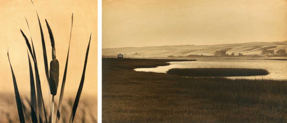 Tomales Bay #2 art print by Jan Gauthier for $57.95 CAD
