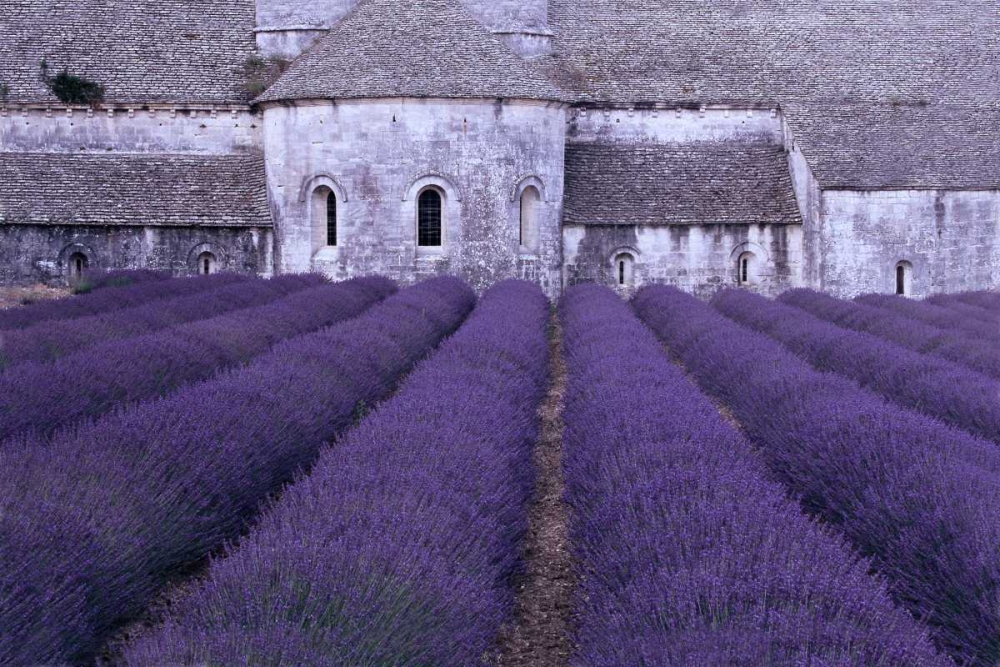Lavender Abbey art print by Greg Gawlowski for $57.95 CAD