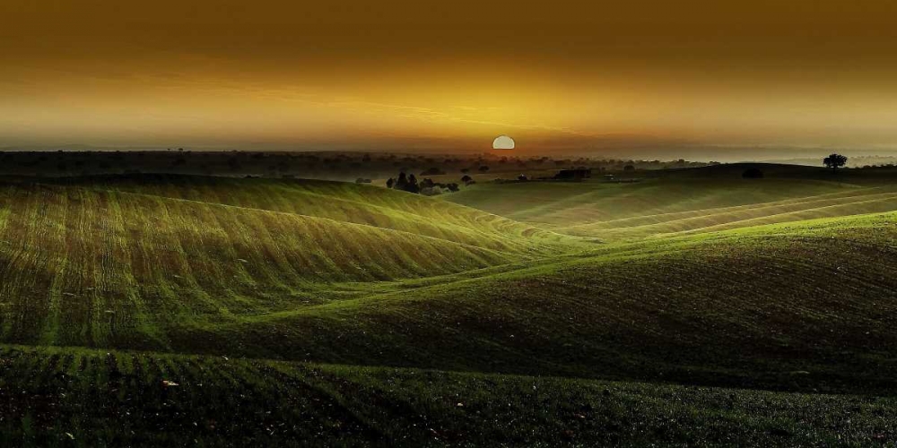 Alentejo Sunset art print by Adelino Goncalves for $57.95 CAD