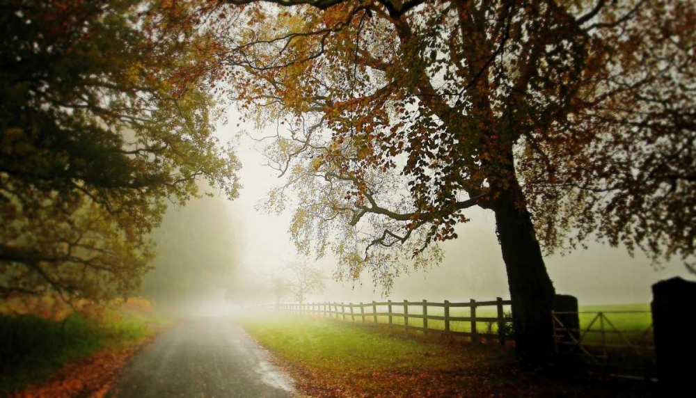 The Fog art print by Adelino Goncalves for $57.95 CAD