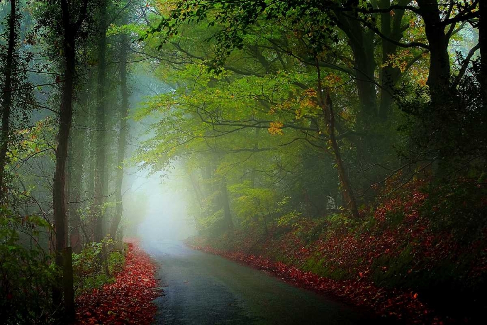 The Lane art print by Adelino Goncalves for $57.95 CAD
