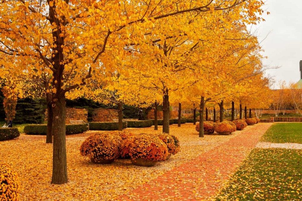 Fall Walkway art print by Abhi Ganju for $57.95 CAD