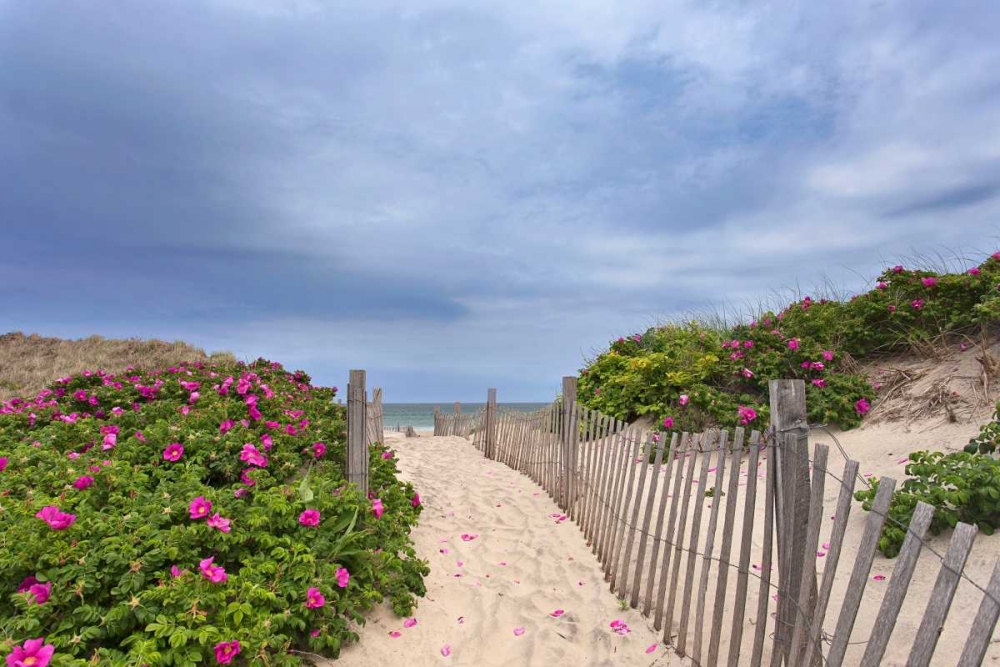 Rose Path art print by Katherine Gendreau for $57.95 CAD