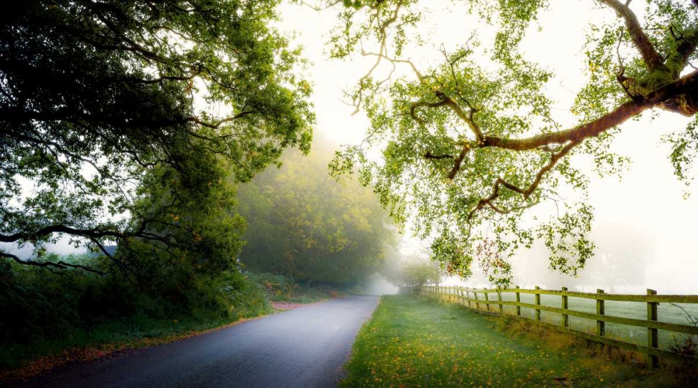 Octobers Fog art print by Adelino Goncalves for $57.95 CAD