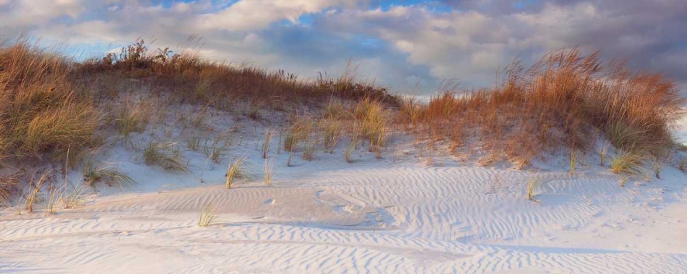 Dunes Light art print by Katherine Gendreau for $57.95 CAD