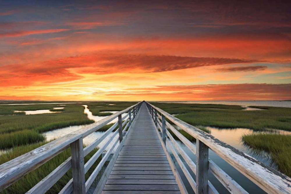 Greys Beach Sunset art print by Katherine Gendreau for $57.95 CAD