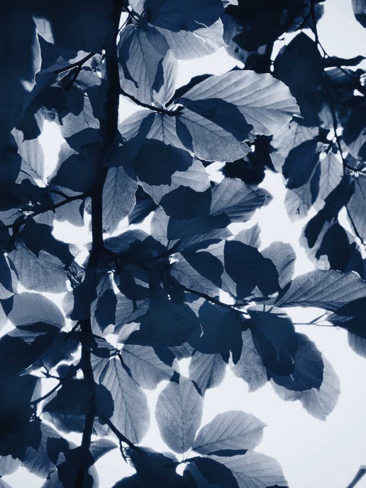 Indigo Leaves art print by Lexie Greer for $57.95 CAD