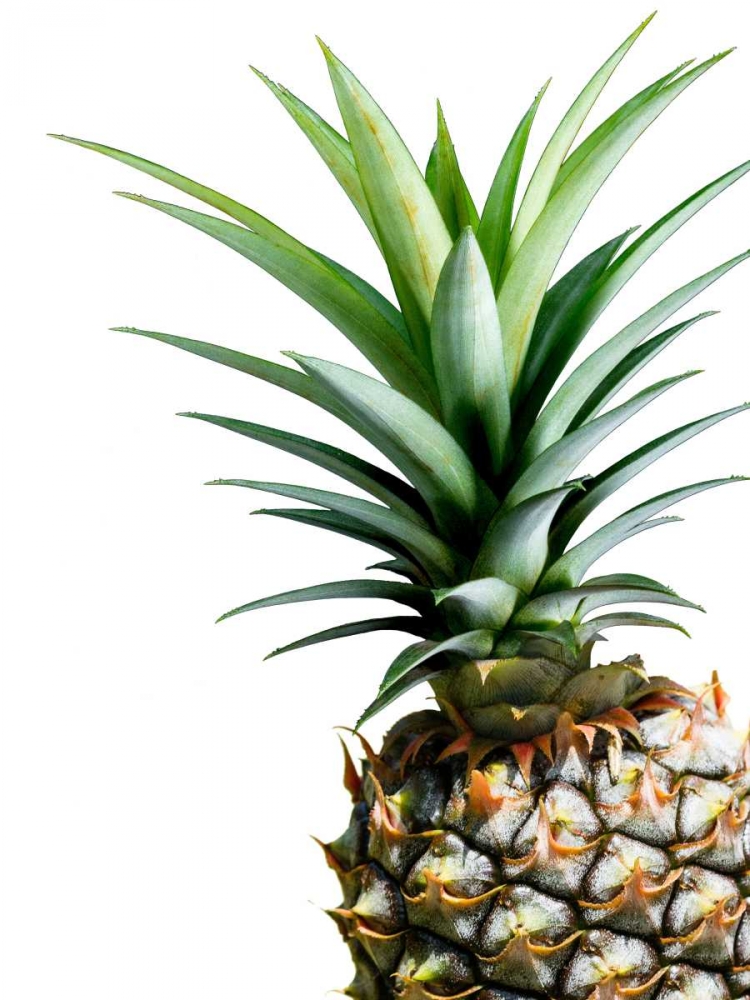 Pineapple - color art print by Lexie Greer for $57.95 CAD