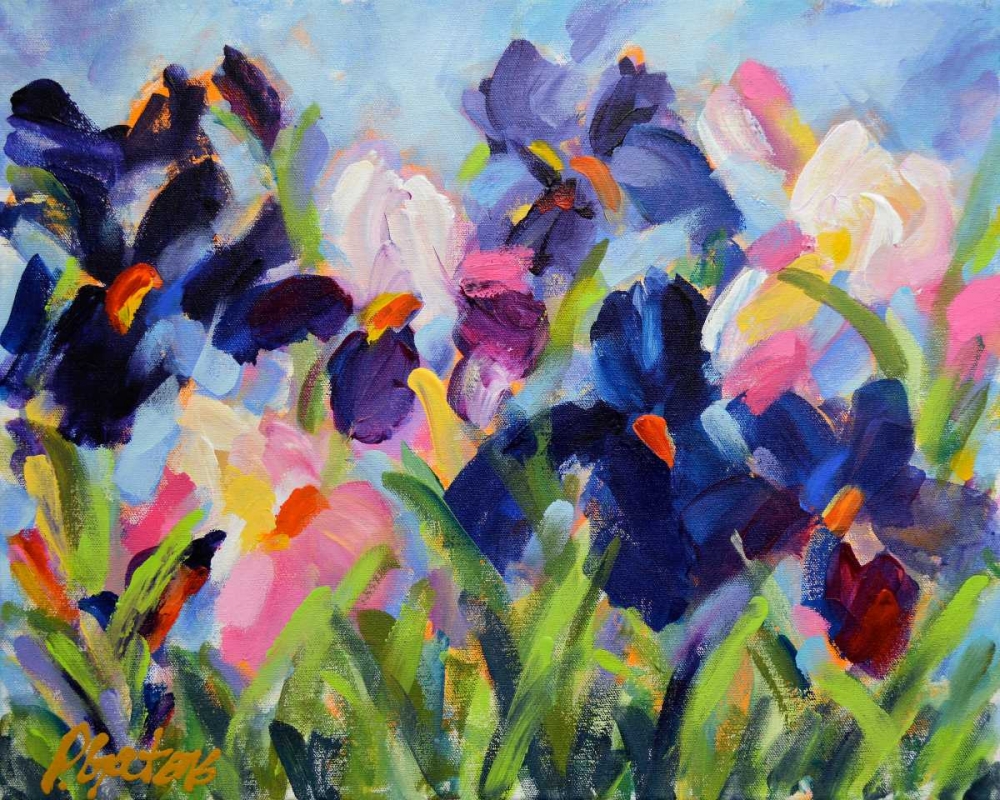 The Iris Show art print by Pamela Gatens for $57.95 CAD
