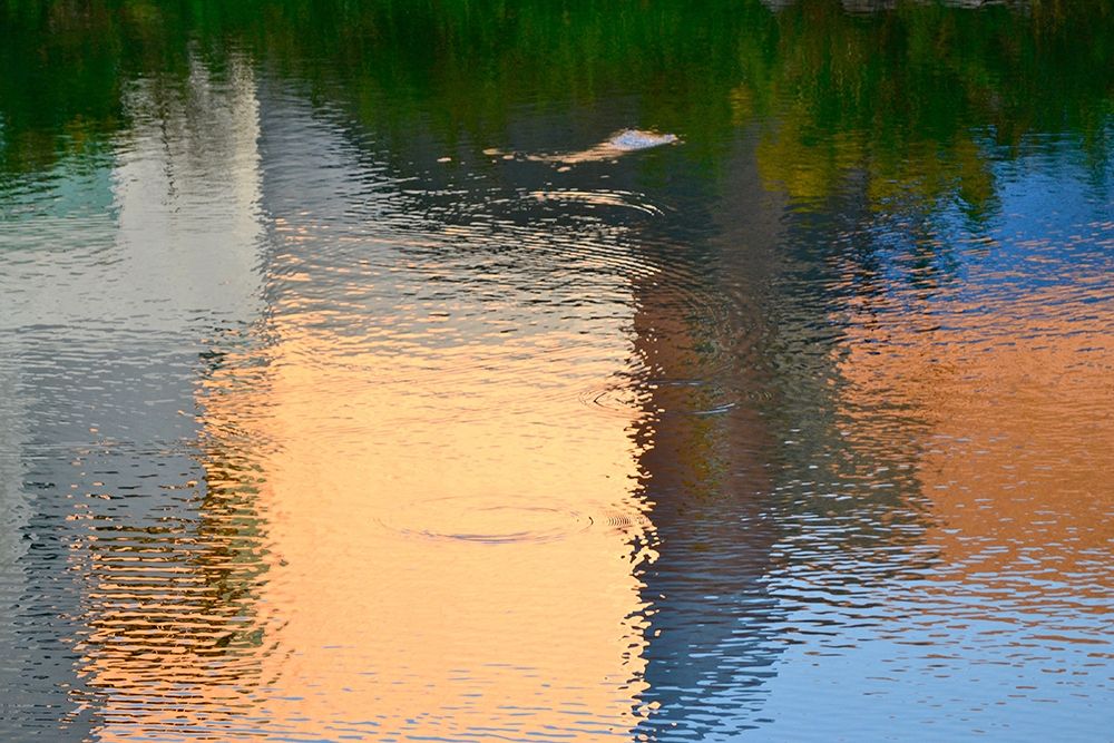 Reflection on the Iowa River No. 1 art print by Ulpi Gonzalez for $57.95 CAD