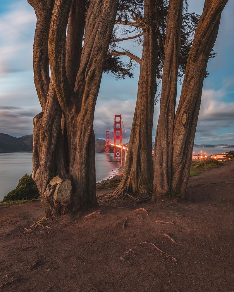 Between the Trees art print by Bruce Getty for $57.95 CAD