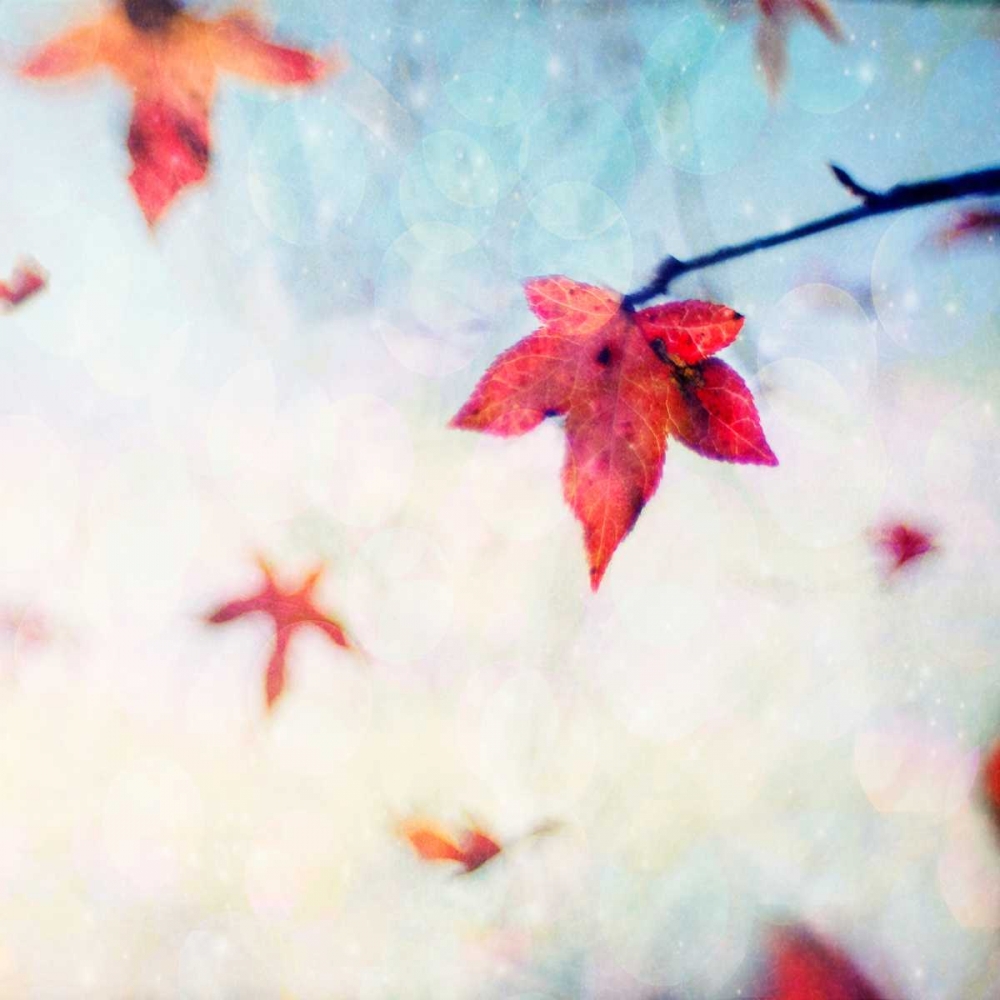 All Fall Down art print by Dawn D. Hanna for $57.95 CAD